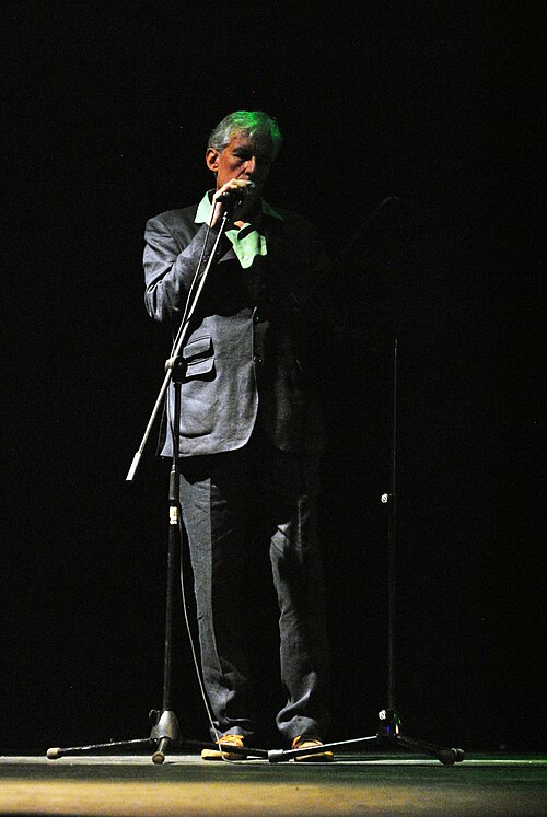 Michel Bulteau